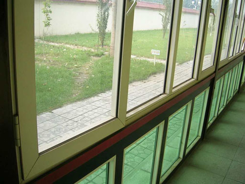 ����䓴���