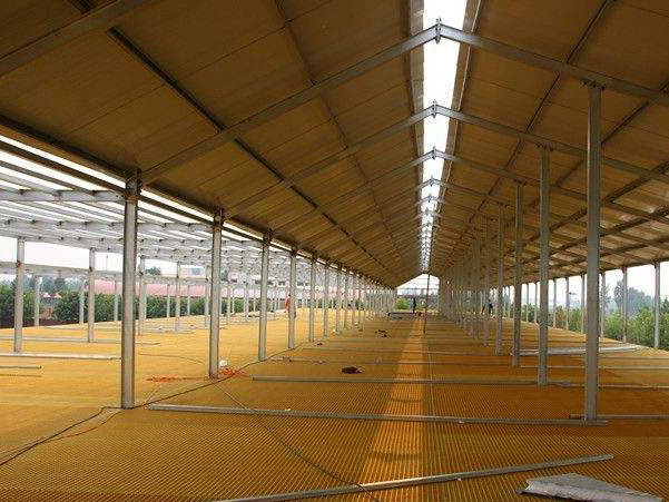 ������B(y��ng)ֳ�Ͳ�